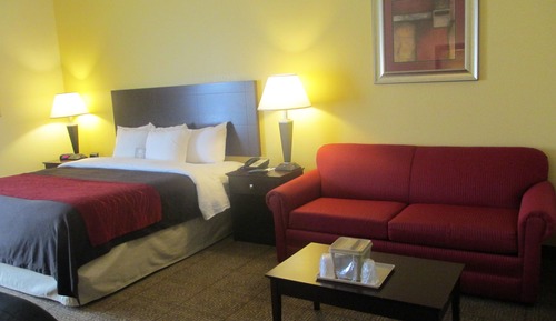 Standard Room, 1 King Bed with Sofa bed, Non Smoking