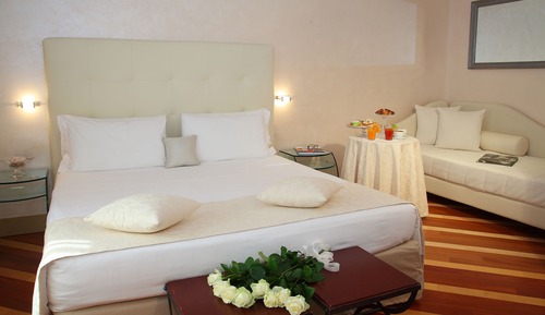 Superior Double or Twin Room (gym access)