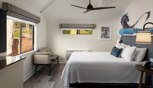 Suite, 1 King Bed