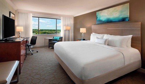 Room, 1 King Bed, Non Smoking (Mobility/Hearing Access, Transf Shwr)