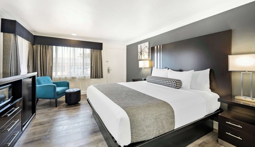 Standard Room, 1 King Bed, Non Smoking, Refrigerator