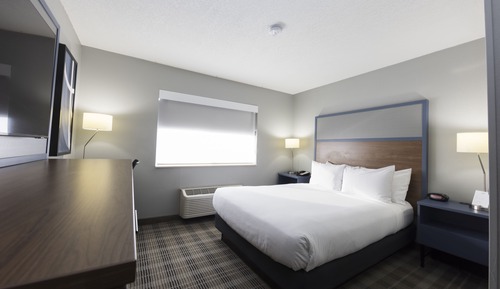 Room, 1 King Bed, Non Smoking