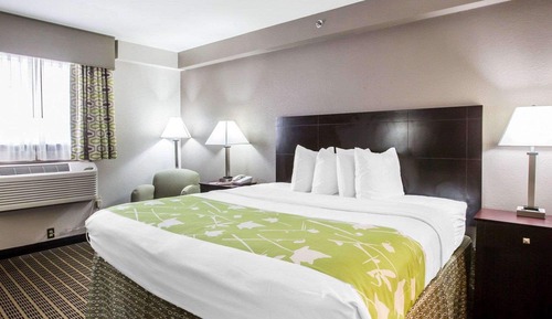 Standard Room, 1 King Bed, Non Smoking
