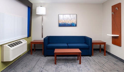 Room, 1 King Bed with Sofa bed