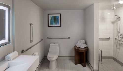 Standard Room, 1 King Bed, Accessible, Non Smoking (Communications)