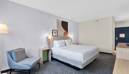 Room, 1 King Bed