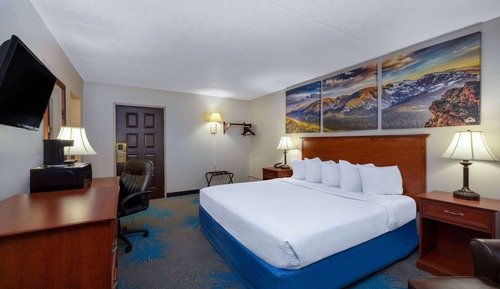 Standard Room, 1 King Bed, Refrigerator & Microwave