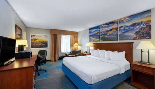 Room, 1 Queen Bed, Non Smoking (Pet Friendly)