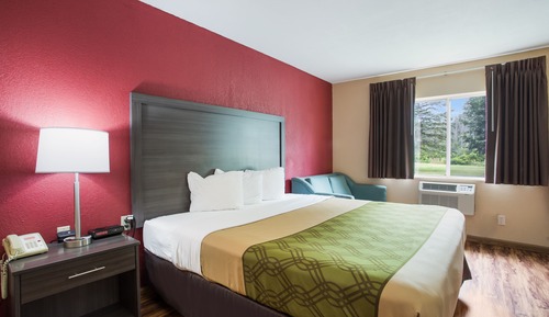 Room, 1 King Bed with Sofa bed, Accessible, Non Smoking (Roll-In Shower)