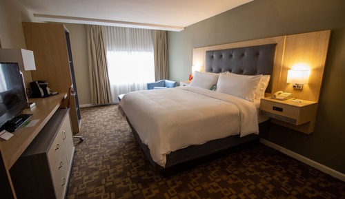 Suite, 1 King Bed (Additional Living Area)