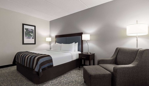 Room, 1 King Bed, Non Smoking