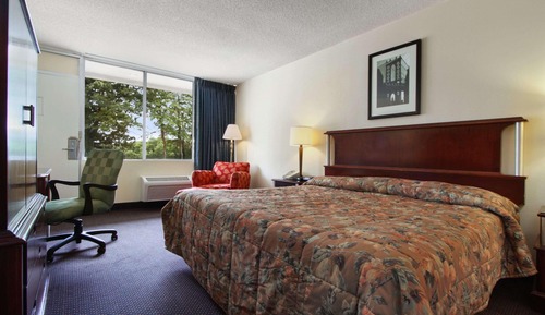 Room, 1 King Bed, Smoking