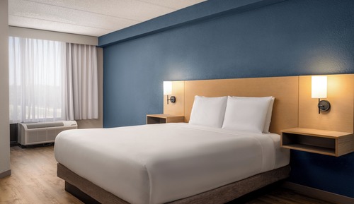Room, 1 King Bed, Accessible, Bathtub