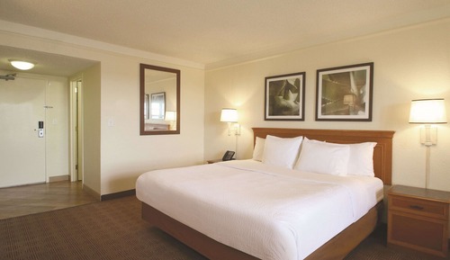 Room, 1 King Bed, Non Smoking (Pet Friendly)