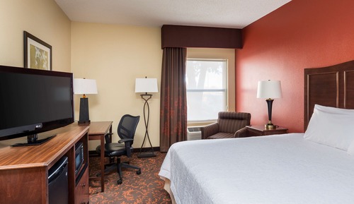 Room, 1 King Bed, Accessible, Non Smoking