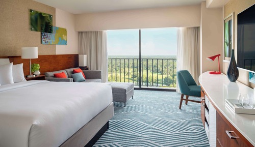 Room, 1 King Bed, Accessible (with Shower)