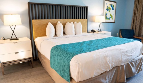 Business Room, 1 King Bed, Non Smoking