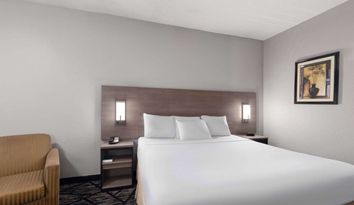 Standard Room, 1 King Bed, Smoking