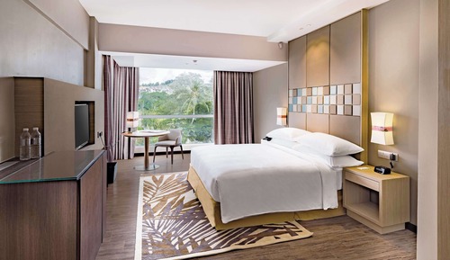 Room, 1 King Bed (Guest)