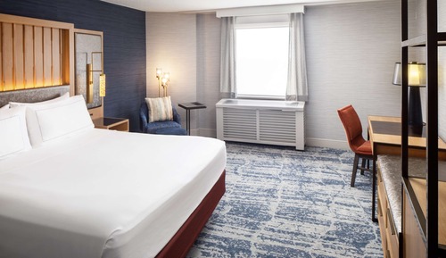 Room, 1 King Bed
