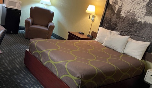 Room, 1 King Bed, Refrigerator