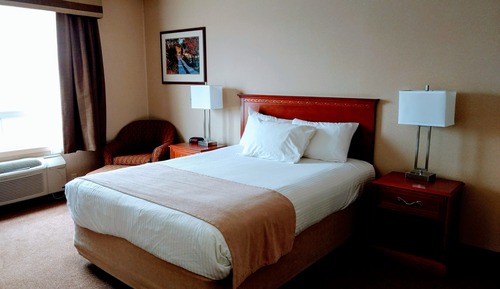 Standard Room, 1 King Bed- Pet Friendly