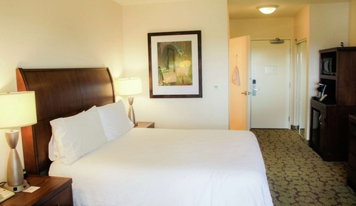 Room, 1 King Bed, Accessible