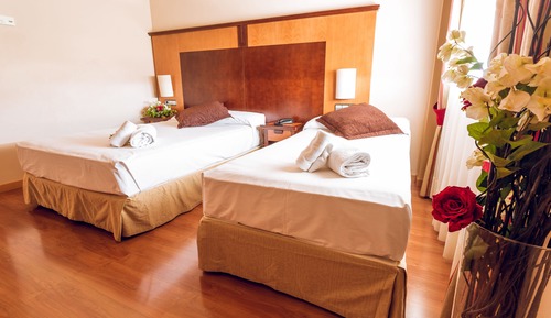 Double Room (1 double bed + extra bed)