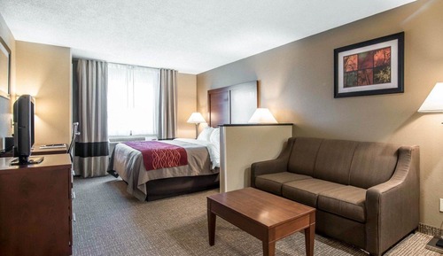 Standard Room, 1 King Bed, Non Smoking