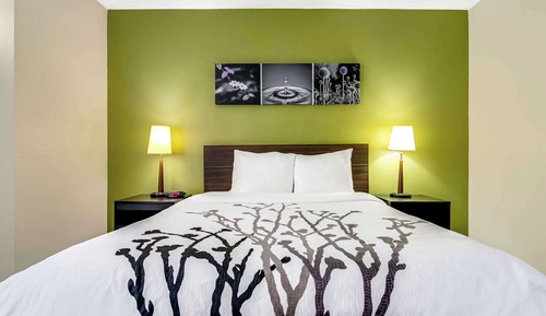 Room, 1 Queen Bed, Accessible, Non Smoking