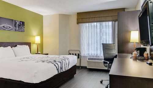 Standard Room, 1 King Bed, Non Smoking