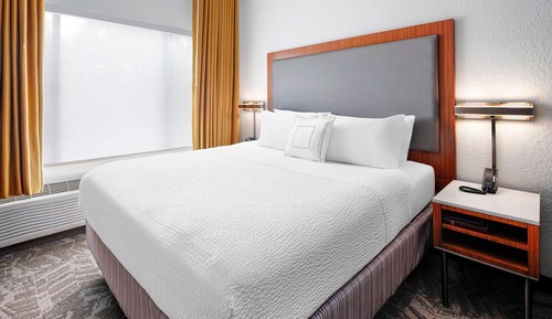Studio Suite, 1 King Bed with Sofa bed (Mobility/Hearing Accessible, Tub)