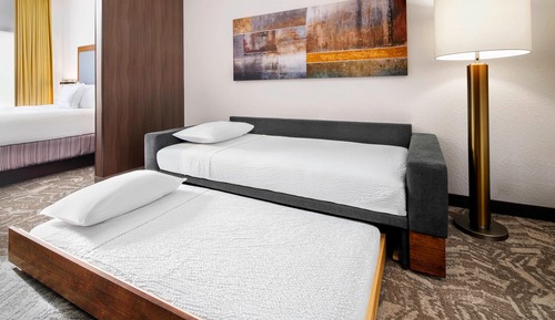 Studio Suite, 1 King Bed with Sofa bed