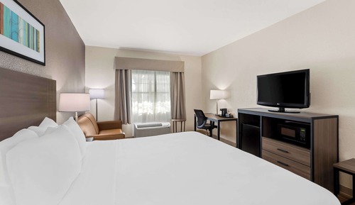 Standard Room, 1 King Bed with Sofa bed, Non Smoking