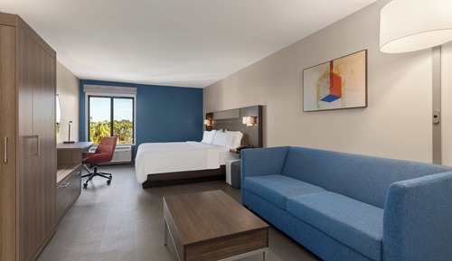 Suite, 1 King Bed with Sofa bed