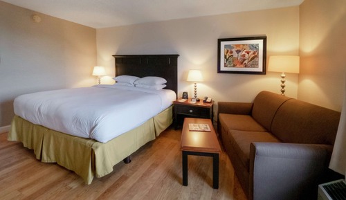 Standard Room, 1 King Bed with Sofa bed