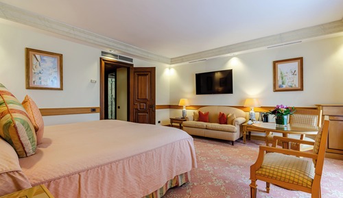 Superior Room (Palace)