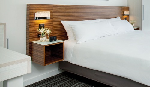 Room, 1 King Bed, Accessible (Mobility & Hearing, 3x3 Shower)