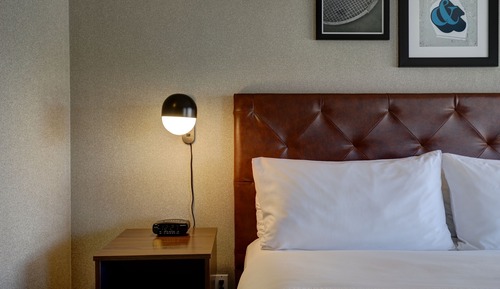 Room, 1 King Bed with Sofa bed