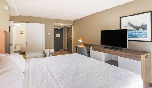 Suite, 1 King Bed