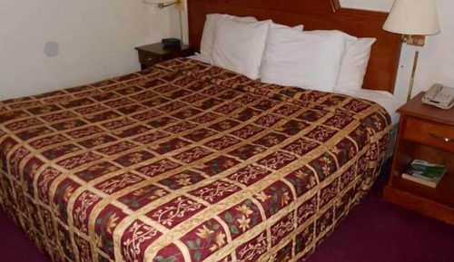 Premium Room, Multiple Beds, Non Smoking