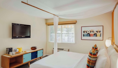 Room, 1 Queen Bed, Accessible, Bathtub