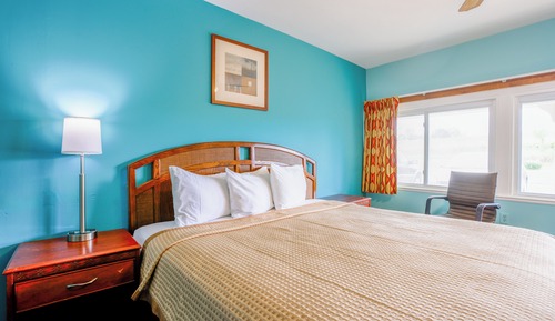 Room, 1 King Bed, Non Smoking