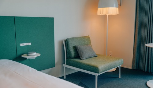 Standard Double Room, 1 King Bed