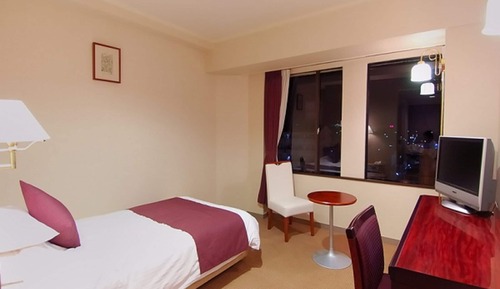 Single Room, 1 Twin Bed, Non Smoking