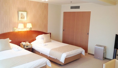 Deluxe Twin Room, 2 Twin Beds, Non Smoking