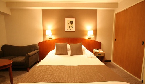 Standard Double Room, 1 Double Bed, Non Smoking