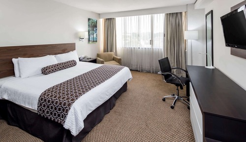 Deluxe Room, 1 King Bed, Non Smoking