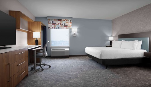 Studio, 1 King Bed, Mountain View