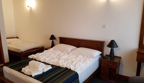 Deluxe Triple Room (AC)